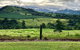 Tableland Tasting Tour - thumb 0