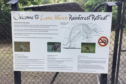 Daintree Luxury Limousine Tour - Full Day - Accommodation Broome 2