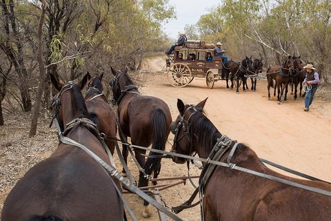 Cobb And Co Stagecoach Experience - Accommodation Broome 1