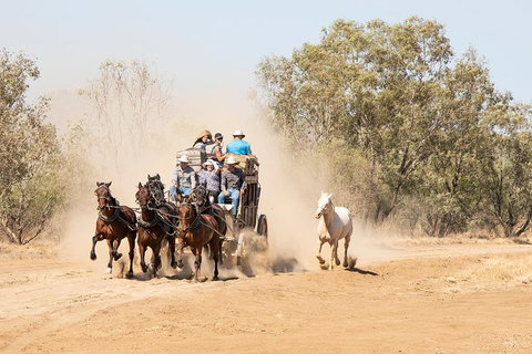 Cobb And Co Stagecoach Experience - Accommodation Broome 0