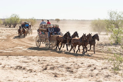 Cobb And Co Stagecoach Experience - Accommodation Broome 4