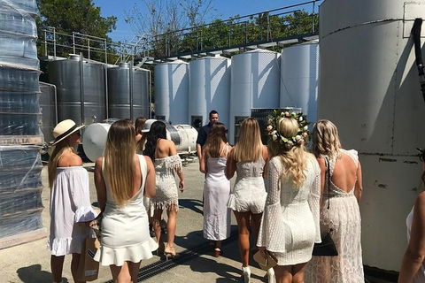 Private Half Day Wine Tour From Gold Coast To Tamborine Mountain - Accommodation Broome 0