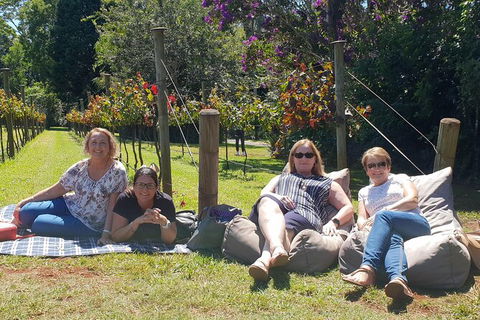 Private Half Day Wine Tour From Gold Coast To Tamborine Mountain - Accommodation Broome 2
