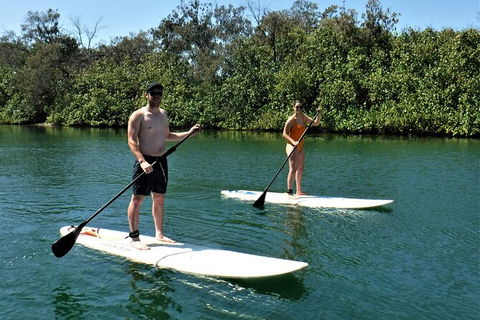 Paddle Board Hire In Surfers Paradise - Accommodation Broome 2