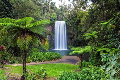 Cairns & Port Douglas All-Inclusive 7 Days Touring Package - Accommodation Broome 5