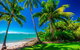 SHUTTLE - Port Douglas And Craiglie Return Transfer - thumb 2