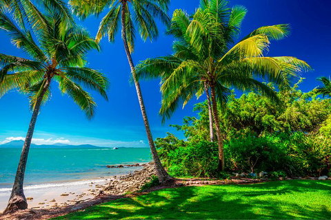 SHUTTLE - Port Douglas And Craiglie Return Transfer - Accommodation Broome 2