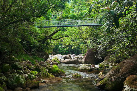 SHUTTLE - Mossman Gorge & Cooya Beach From Port Douglas (Return Transfer) - Accommodation Broome 4
