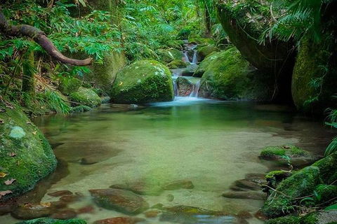 SHUTTLE - Mossman Gorge & Cooya Beach From Port Douglas (Return Transfer) - Accommodation Broome 2