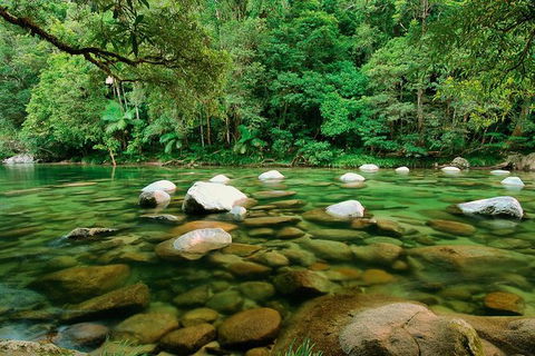 SHUTTLE - Mossman Gorge & Cooya Beach From Port Douglas (Return Transfer) - Accommodation Broome 3