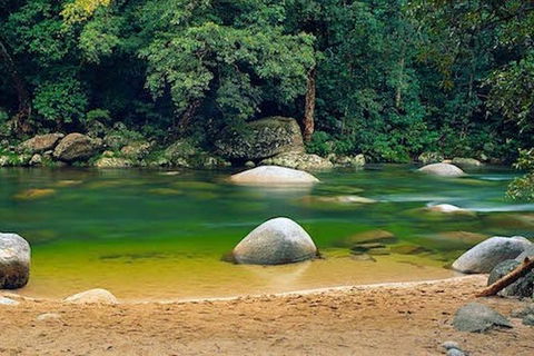 SHUTTLE - Mossman Gorge & Cooya Beach From Port Douglas (Return Transfer) - Accommodation Broome 1