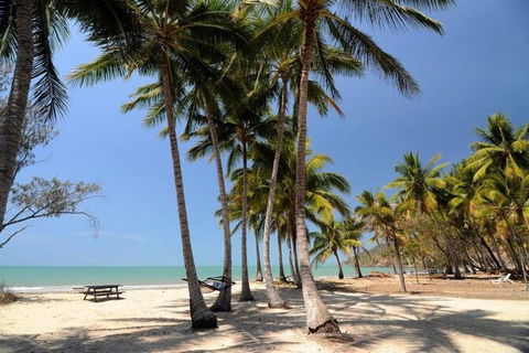 SHUTTLE - Thala Beach And Turtle Cove From Port Douglas (Return Transfer) - Accommodation Broome 2