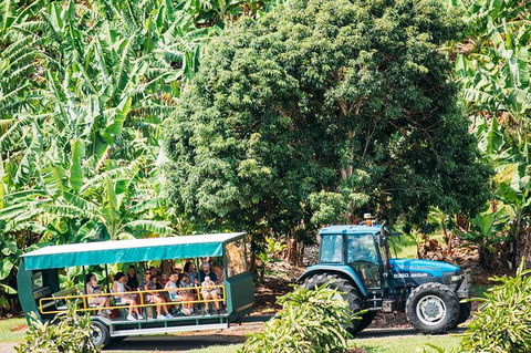 Northern Rivers Food & Wine - Accommodation Broome 4