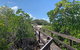 Hinchinbrook Island Tour - thumb 4