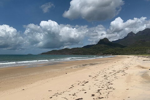 Hinchinbrook Island Tour - Accommodation Broome 3