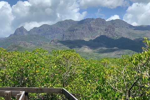 Hinchinbrook Island Tour - Accommodation Broome 0