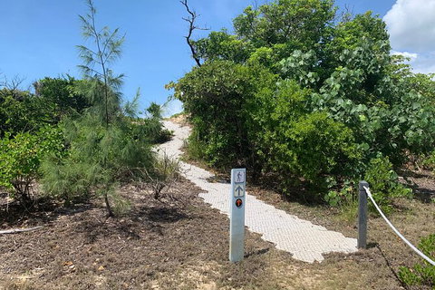 Hinchinbrook Island Tour - Accommodation Broome 1