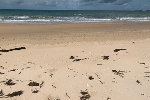 Hinchinbrook Island Tour - Accommodation Broome 6