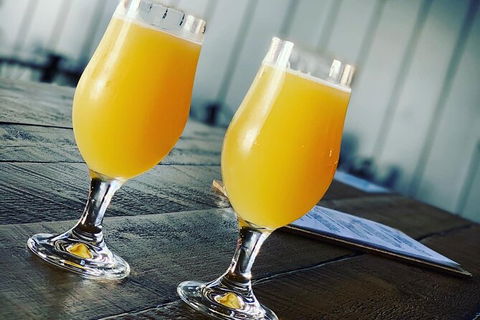 Gold Coast Suburb Sipper Brewery Tour - Accommodation Broome 13