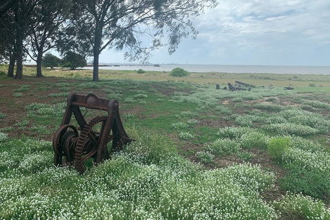 Half Day St. Helena Island Tour - Accommodation Broome 1