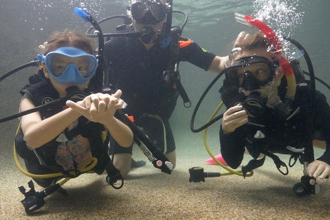 Scuba Kids- Padi Bubblemaker Course - Accommodation Broome 4
