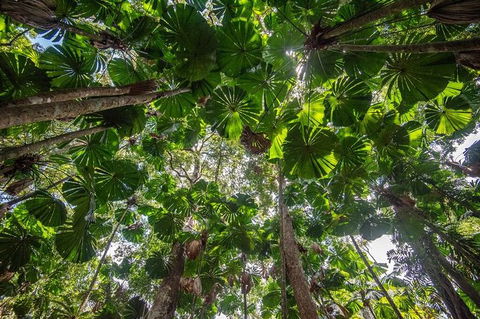 5 Day Australia Retreat: Queensland Daintree - Accommodation Broome 4