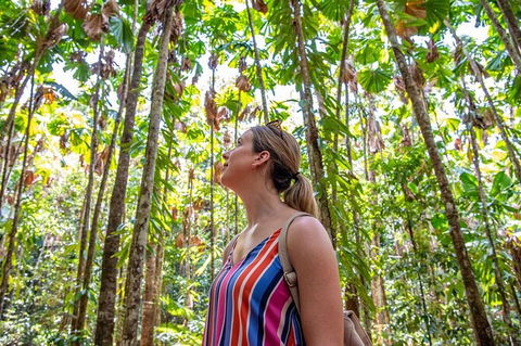 5 Day Australia Retreat: Queensland Daintree - Accommodation Broome 3