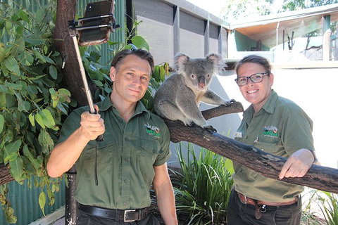Virtual Interactive Australian Wildlife Tour With Private Guide-Wildlife Habitat - Accommodation Broome 4