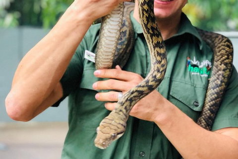 Virtual Interactive Australian Wildlife Tour With Private Guide-Wildlife Habitat - Accommodation Broome 3