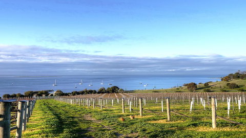 Kangaroo Island Gourmet Food And Wine Trail Tour - Accommodation Broome 3