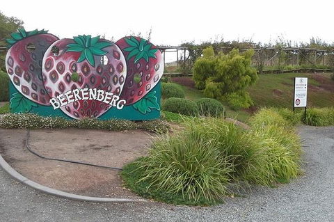 Adelaide Hills Regional / Hahndorf German Village Tour - Accommodation Broome 6