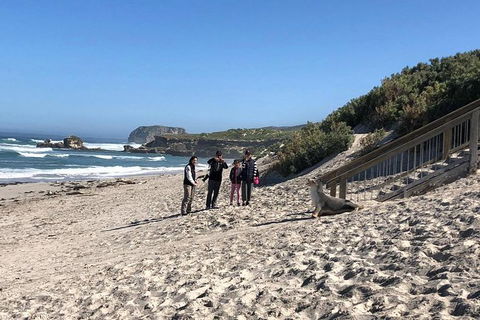 Kangaroo Island 4WD - Seal Bay - Accommodation Broome 2