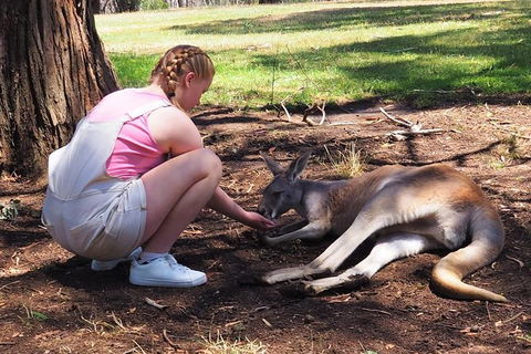 Adelaide Driving Tour - Accommodation Broome 0