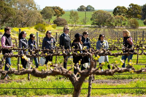 Walk, Taste, Graze - Experience At Pindarie - Accommodation Broome 2