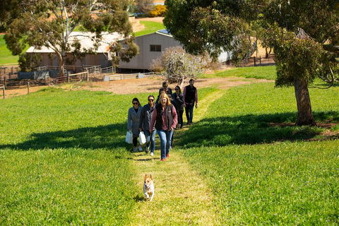 Walk, Taste, Graze - Experience At Pindarie - Accommodation Broome 7