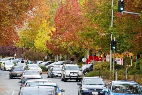 Adelaide Hills Full Day Winery Tour With Tastings - Accommodation Broome 3