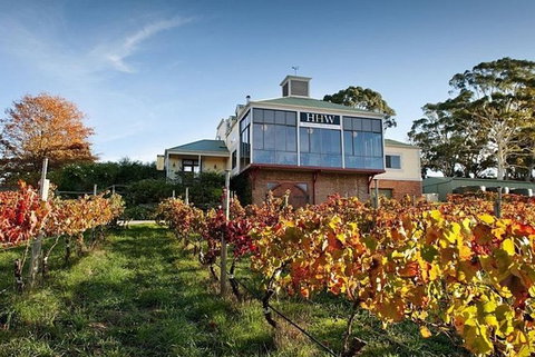 Adelaide Hills Full Day Winery Tour With Tastings - Accommodation Broome 0