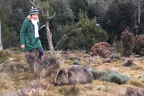 Shore Excursion - Cradle Mountain Day Tour From Burnie - Accommodation Broome 1