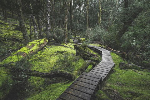Shore Excursion - Cradle Mountain Day Tour From Burnie - Accommodation Broome 2