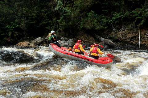 King River Whitewater Rafting Trip Including The Westcoast Wilderness Railway - Accommodation Broome 3