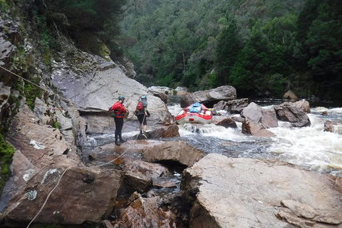 King River Whitewater Rafting Trip Including The Westcoast Wilderness Railway - Accommodation Broome 2