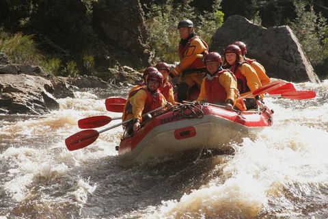 King River Whitewater Rafting Trip Including The Westcoast Wilderness Railway - Accommodation Broome 5