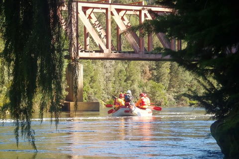 King River Rafting Day Trip From Queenstown To Strahan And Return Including The West Coast Wilderness Railway - Accommodation Broome 1