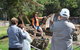Afternoon Gordon River Dinner Cruise - Departing 3pm - thumb 2