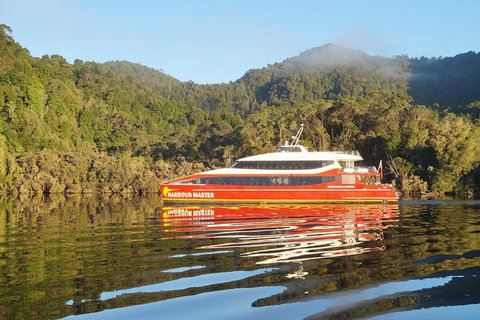 Afternoon Gordon River Dinner Cruise - Departing 3pm - Accommodation Broome 1