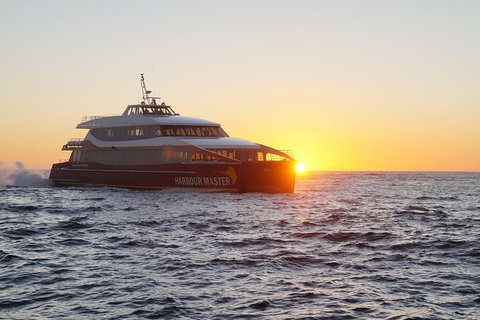 Afternoon Gordon River Dinner Cruise - Departing 3pm - Accommodation Broome 0