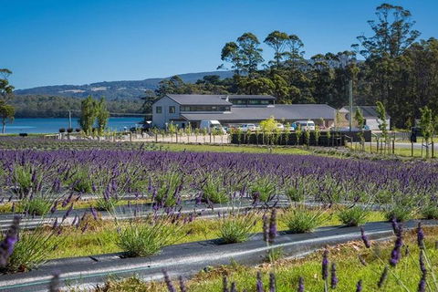 Private Hobart Discover South East Food And Scenic Tour - Accommodation Broome 3