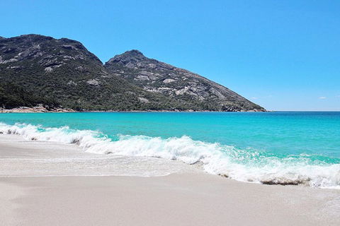 Sea & Explore Wineglass Bay & Freycinet National Park - Cruise & Walk - Accommodation Broome 4