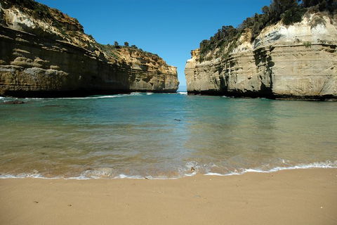 Great Ocean Road Tour Plus Koalas, Forest Walk And Morning Tea. - Accommodation Broome 4