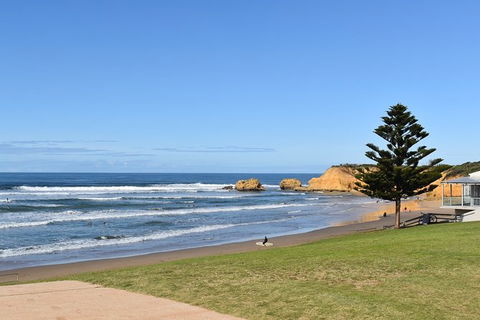 Great Ocean Road Tour Plus Koalas, Forest Walk And Morning Tea. - Accommodation Broome 3